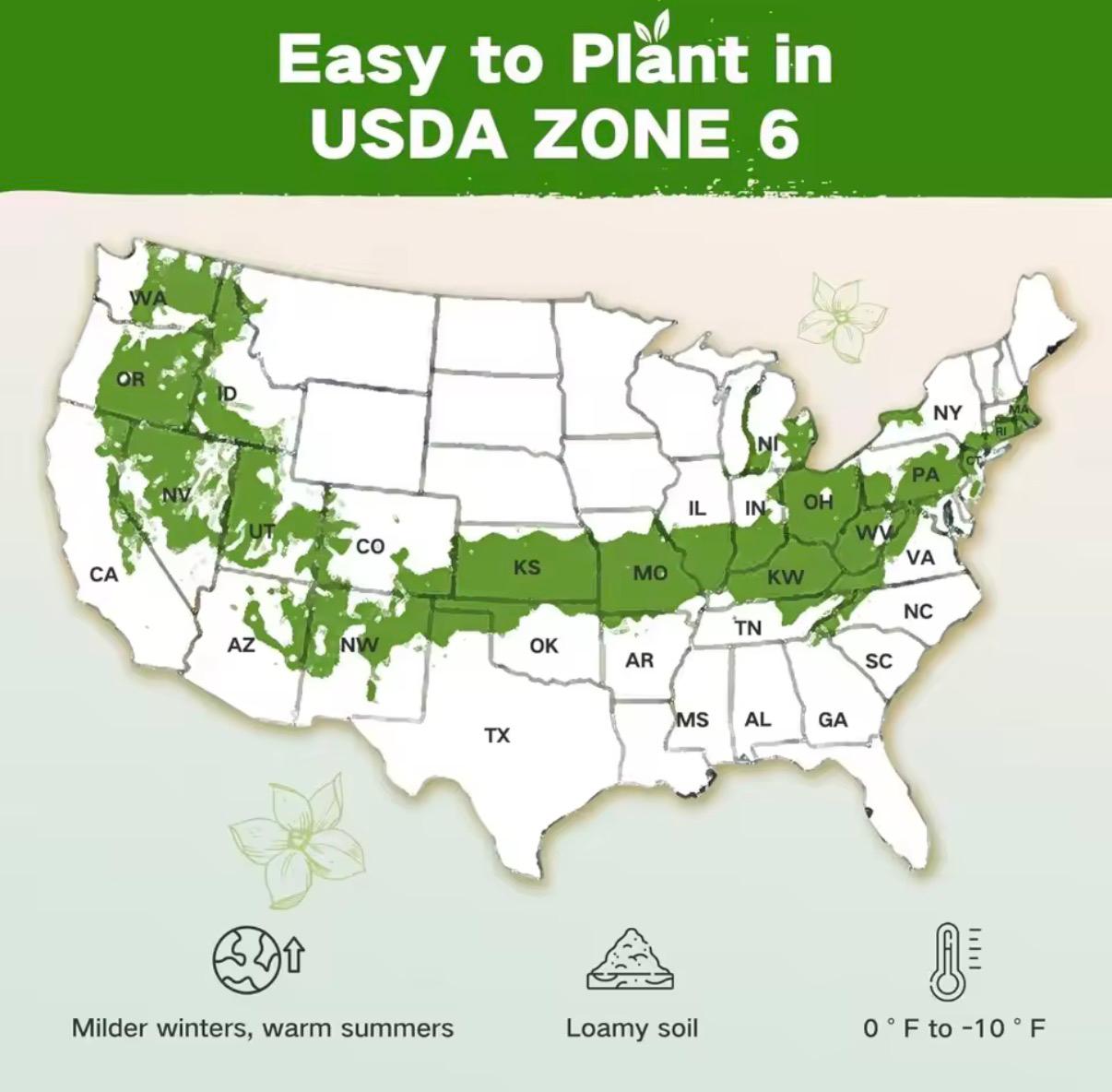 Grow your own food with 32 heirloom seed varieties -over 30,000 seeds total.